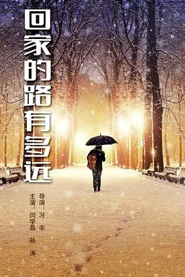 《回家的路有多远》:一部触动心灵的感人寻亲之旅
